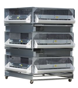 Brooder Poultry Plus 2