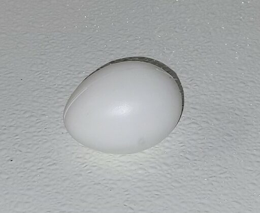 Artificial Chicken Egg