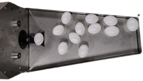 Suregrade 750 Egg Washer