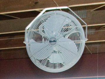 Basket Fan