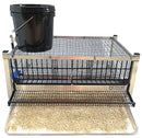 Quail Town Cages by Rite Farm Products - Pro Modular Layer Cage with Egg Rollout-5