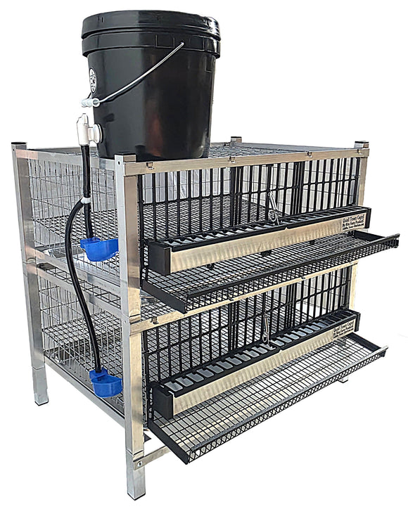 Quail Town Cages by Rite Farm Products - Pro Modular Quail Grow Out & Layer Cage Tower System Transparent Reservoir