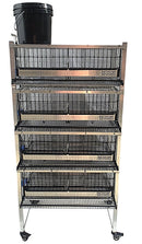 Quail Town Cages by Rite Farm Products - Pro Modular Quail Grow Out & Layer Cage Tower System Black Reservior-19