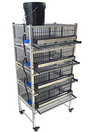 Quail Town Cages by Rite Farm Products - Pro Modular Quail Grow Out & Layer Cage Tower System Black Reservior-1
