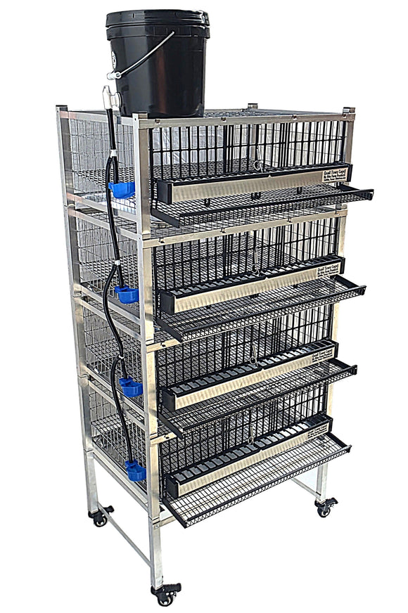 Quail Town Cages by Rite Farm Products - Pro Modular Quail Grow Out & Layer Cage Tower System Black Reservior