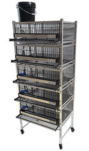 Quail Town Cages by Rite Farm Products - Pro Modular Quail Grow Out & Layer Cage Tower System Transparent Reservoir-27