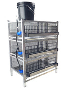 Quail Town Cages by Rite Farm Products - Pro Modular Quail Grow Out & Layer Cage Tower System Black Reservior-13