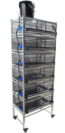 Quail Town Cages by Rite Farm Products - Pro Modular Quail Grow Out & Layer Cage Tower System Transparent Reservoir-20