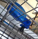 4 Pack of Blue Quail Auto Drinker Cage Cups with Y's and Clamp Nuts-4