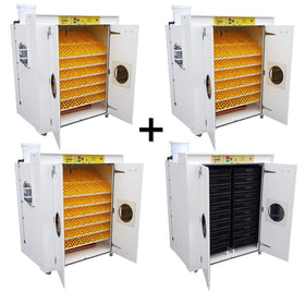 Surehatch SH8000  Egg Hatchery