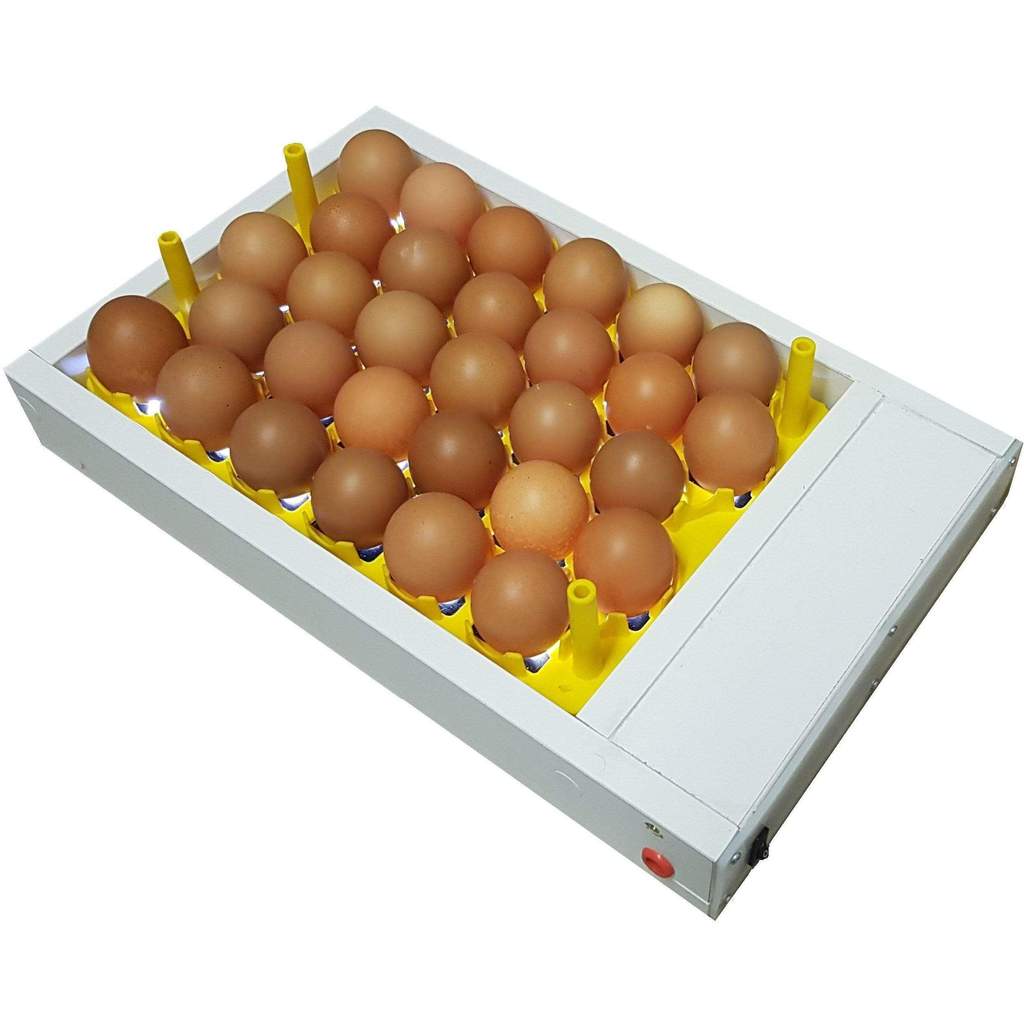Egg Handling