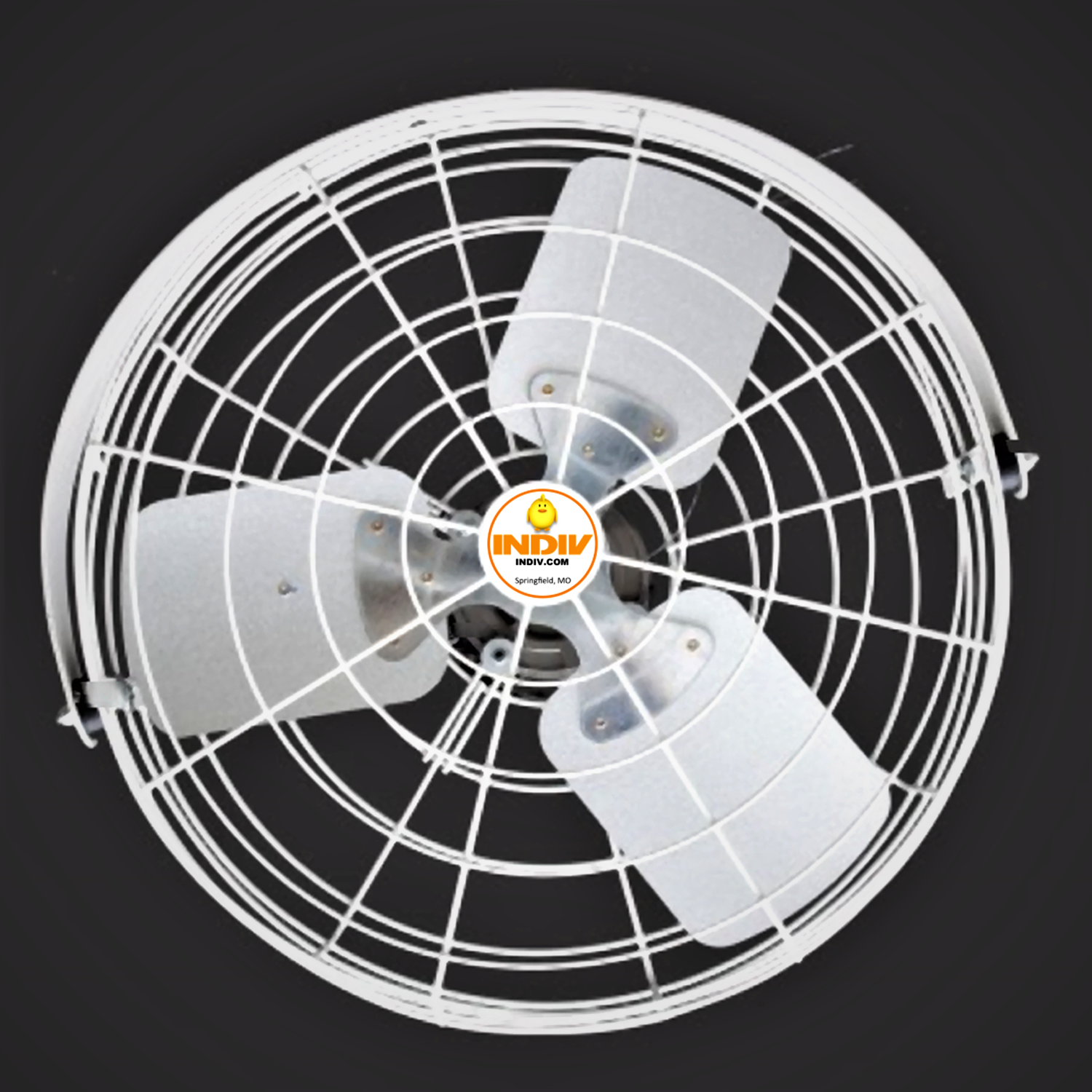 Basket Fan