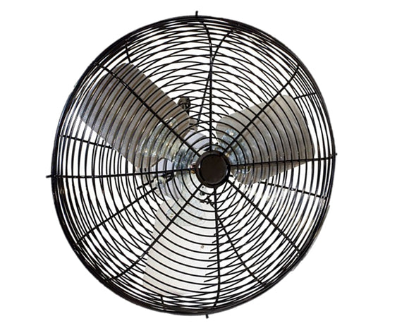 Circulation Fan