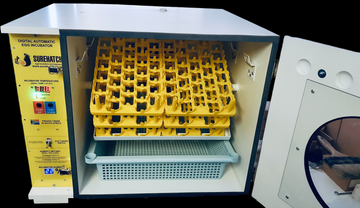 Surehatch SH180 Egg Incubator