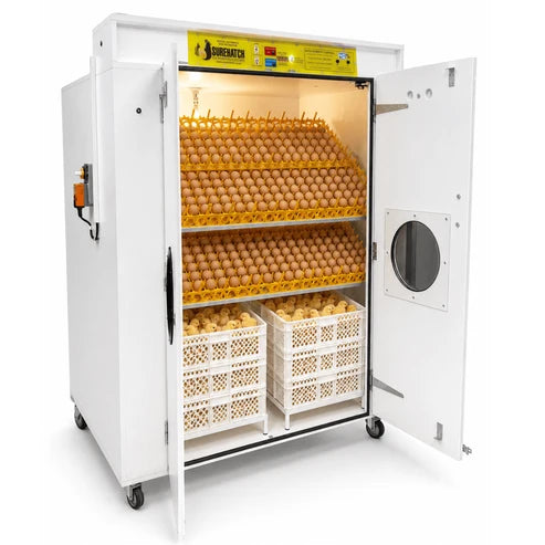 Surehatch Super Hatch 2000 Combo Egg Incubator