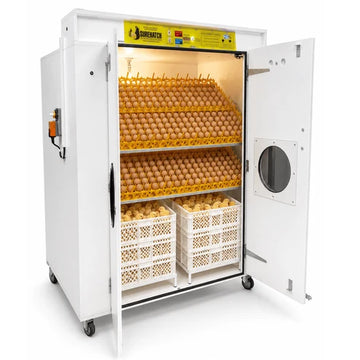 Surehatch Super Hatch 2000 Combo Egg Incubator