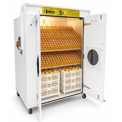 Surehatch Super Hatch 2000 Combo Egg Incubator