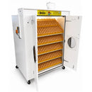 Surehatch SH4000 Combo Egg Incubator-2