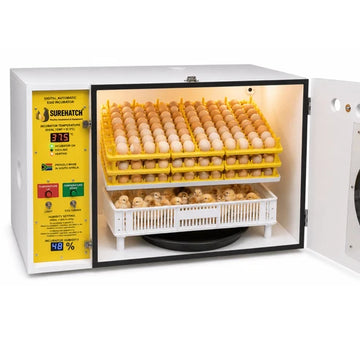 Surehatch 370 HOMESTEADER EGG INCUBATOR