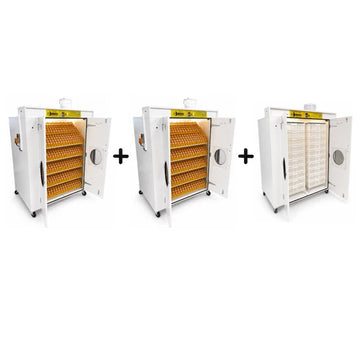 SH6000 Egg Incubator & Hatchery