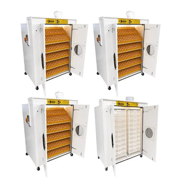 Surehatch SH8000  Egg Hatchery
