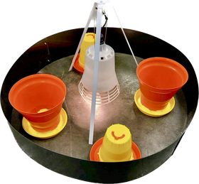 Happy Chix 100 Chick Electric Brooder Kit