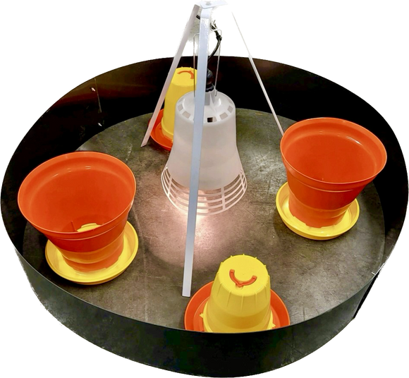 Happy Chix 100 Chick Electric Brooder Kit