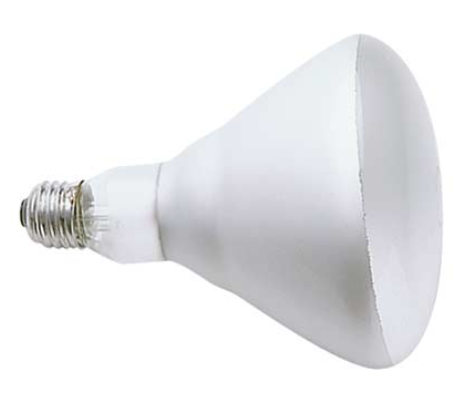 125 W Heat Lamp Bulb