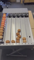 Elite Egg Grader Pro 750-2